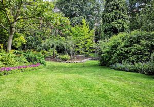 Optimiser l'expérience du jardin à Barzy-en-Thierache